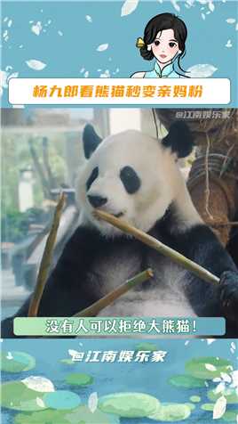 #杨九郎看熊猫秒变亲妈粉救命谁都拒绝不了大熊猫啊！#杨九郎第一次看熊猫秒转粉#是好朋友的周末