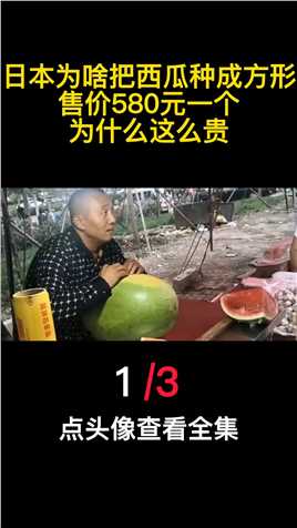 日本为啥把西瓜种成方形？售价580元一个，为什么这么贵？（1）