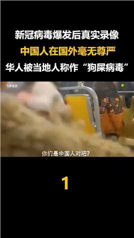 中国人在比利时遭侮辱录像：新冠病毒爆发后，华人在国外毫无尊严 (1)