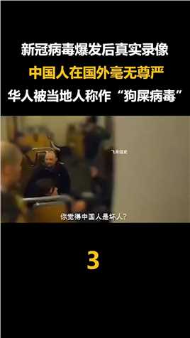 中国人在比利时遭侮辱录像：新冠病毒爆发后，华人在国外毫无尊严 (3)