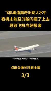 中国民航史最奇葩空难，客机降落时撞上大水牛，导致飞机直接报废#空难#飞机#历史#桂林 (3)