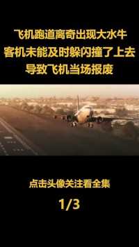 中国民航史最奇葩空难，客机降落时撞上大水牛，导致飞机直接报废#空难#飞机#历史#桂林 (1)