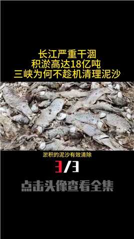 长江严重干涸，积淤高达18亿吨,三峡为何不趁机清理泥沙 (3)