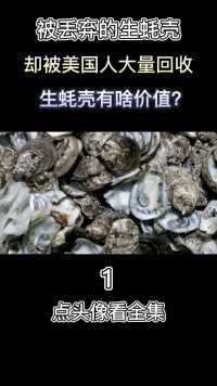 被丢弃的生蚝壳，却被美国人大量回收，生蚝壳有啥价值？生蚝海鲜 (1)