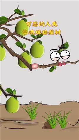 到底是梨苹果还是苹果梨？#奇妙知识 #乡村生活#二次元#动漫#治愈系