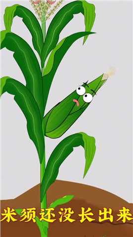 你们知道各种植物嫁接吗？还有什么植物可以嫁接呢？#动画制作#原创动画#植物科普#农业科技#百科