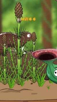 猪笼草会分泌大量蜜汁，吸引昆虫、树鼩来吃！#神奇动物 #冷知识#科普#动物科普#科普一下