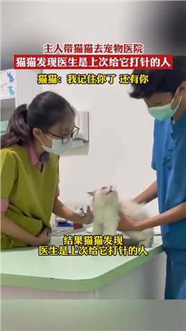 主人带猫猫去宠物医院，猫猫发现医生是上次给它打针的人，猫猫：我记住你了 还有你