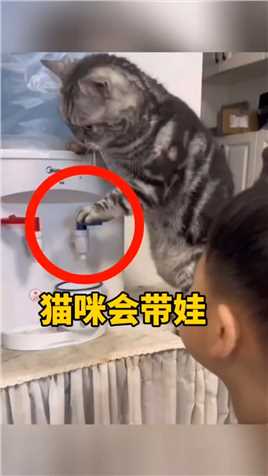 猫咪会用饮水机，也会招呼孩子！