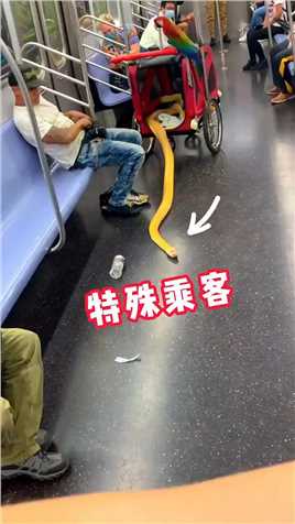 地铁站的特殊乘客，其他乘客都不敢和它一起坐