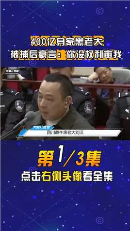 四川最牛黑老大刘汉，称霸20年攒400亿身家，被捕后嚣张放言：你没权利审我 (1)