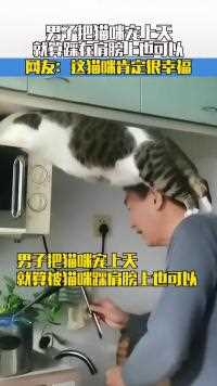 男子把猫咪宠上天，就算踩在肩膀上也可以，网友：这猫咪肯定很幸福