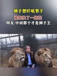 狮子想吓唬男子 谁知挨了一脱鞋 网友表示中间那个才是狮子王#雄狮 #野生动物零距离