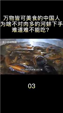 万物皆可美食的中国人，为啥不对肉多的河蚌下手？难道难不能吃？河蚌河鲜科普 (3)