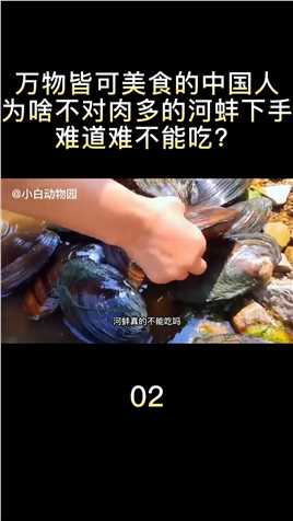 万物皆可美食的中国人，为啥不对肉多的河蚌下手？难道难不能吃？河蚌河鲜科普 (2)