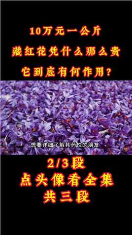 10万元一公斤，藏红花凭什么那么贵，它到底有何作用？#藏红花#养生茶#名贵药材#喝出来的健康 (2)