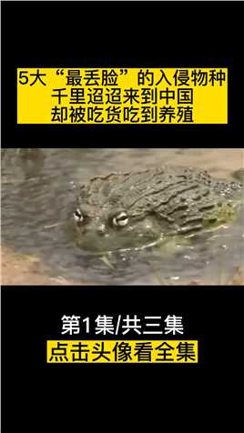 5大“最丢脸”的入侵物种，千里迢迢来到中国，却被吃货吃到养殖 (1)