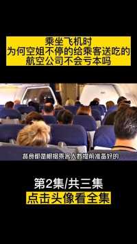 乘坐飞机时，为何空姐不停的给乘客送吃的？航空公司不会亏本吗？ (2)