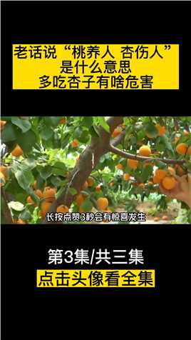 老话说“桃养人，杏伤人”，是什么意思？多吃杏子有啥危害 (3)