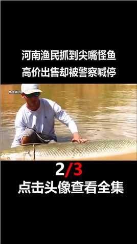 河南渔民捞出怪鱼，拿去售卖却被警察阻拦