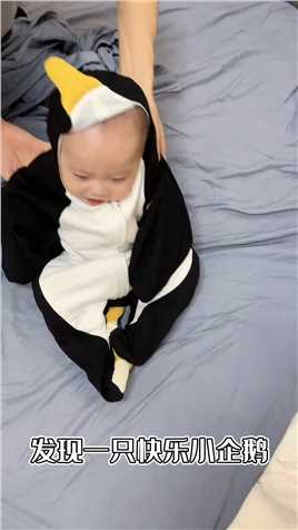 发现一只快乐的小企鹅～#今日份小可爱已上线