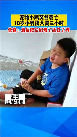 近日，江苏徐州。宠物小鸡突然死亡，10岁小男孩大哭三小时#澄江观察 @最江湖