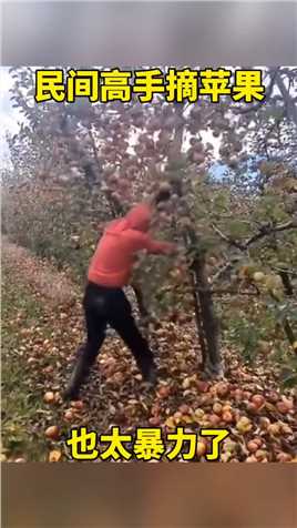 民间高手摘苹果，也太暴力了#搞笑配音 #搞笑视频