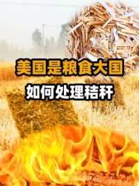 第一集，一亩百元，中国农民烧柴都不用的秸秆，为什么美国还能拿它赚钱？ #美国 #中国 #农民