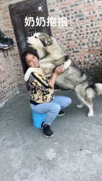 撒娇狗子最好命