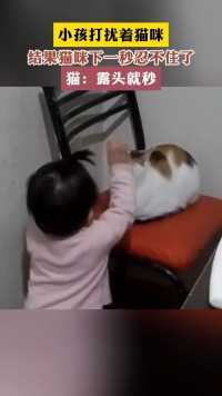 小孩打扰着猫咪结果猫味下一秒忍不住了
猫:露头就秒