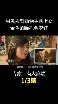 江西村民捡到神奇动物上交，金色的瞳孔会变红，专家：麻烦大了 (1)