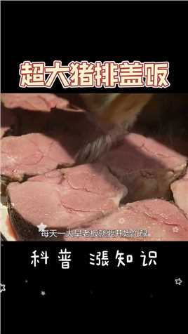 日本的猪排盖饭餐厅，一斤重的肉直接满上，吃到爽腻为止#美食 #日本美食 #猪排盖饭 #猪排