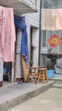 吃冬瓜的季节到了