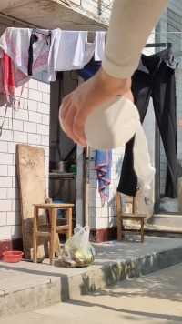 我的农村生活！