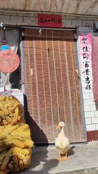 简简单单，美好的一天！