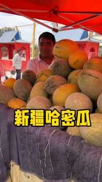 新疆特殊哈密瓜