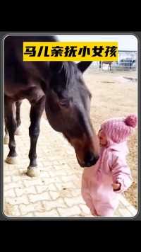 小女孩与马之间的情谊，画面温馨又有爱