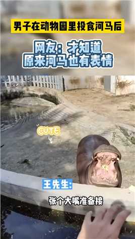 男子在动物园里投食河马后，网友：才知道原来河马也有表情！
