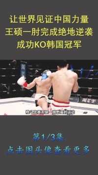 让世界见证中国力量，王硕一肘完成绝地逆袭，成功KO日本冠军！格斗KO拳击综合格斗 (1)