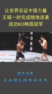 让世界见证中国力量，王硕一肘完成绝地逆袭，成功KO日本冠军！格斗KO拳击综合格斗 (2)