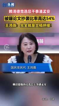 赖清德竞选总干事潘孟安 被曝论文抄袭比率高达54% 王鸿薇：完全就是文稿拼接！
