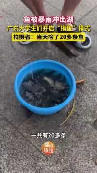 鱼被暴雨冲出人工湖，广东大学生们开启“摸鱼”模式！