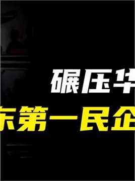 第2集丨中国最神秘的超级富豪，公司年营收7200亿。#广东 #民企 #正威集团 #王文银 #矿山开采