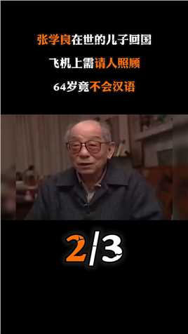 张学良唯一在世的儿子回国，飞机上需请人照顾，64岁竟不会汉语历史晚年生活高龄纪录片历史人物 (2)