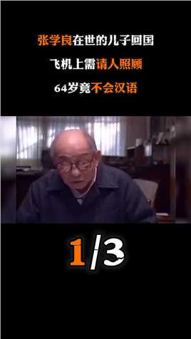 张学良唯一在世的儿子回国，飞机上需请人照顾，64岁竟不会汉语历史晚年生活高龄纪录片历史人物 (1)