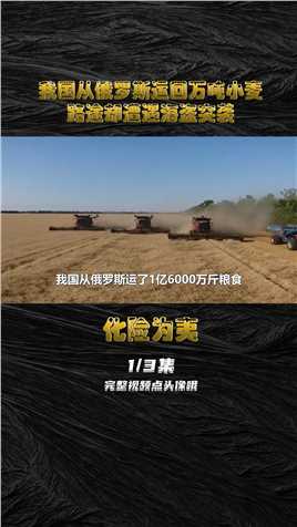 中国从俄罗斯运1亿6000万斤小麦，途中遭海盗拦截，海员一招化解 (1)
