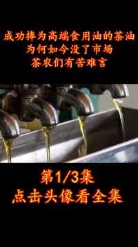 成功捧为高端食用油的茶油，为何如今没了市场？茶农们有苦难言#茶油#植物油#食用油#山茶油#榨油