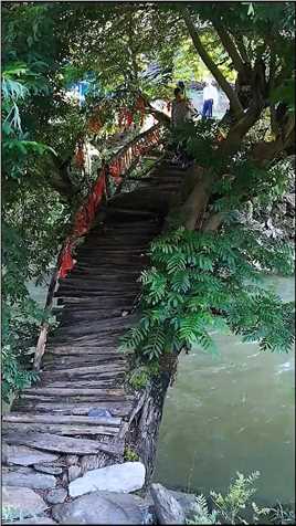 陕西大山里的神奇树桥树桥旅行大玩家
