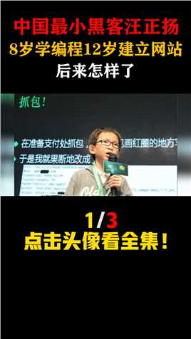 中国最小黑客汪正扬8岁学编程，12岁建立网站，后来怎样了人物故事