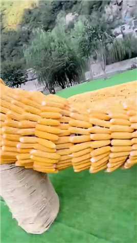 玉米做成的中国龙